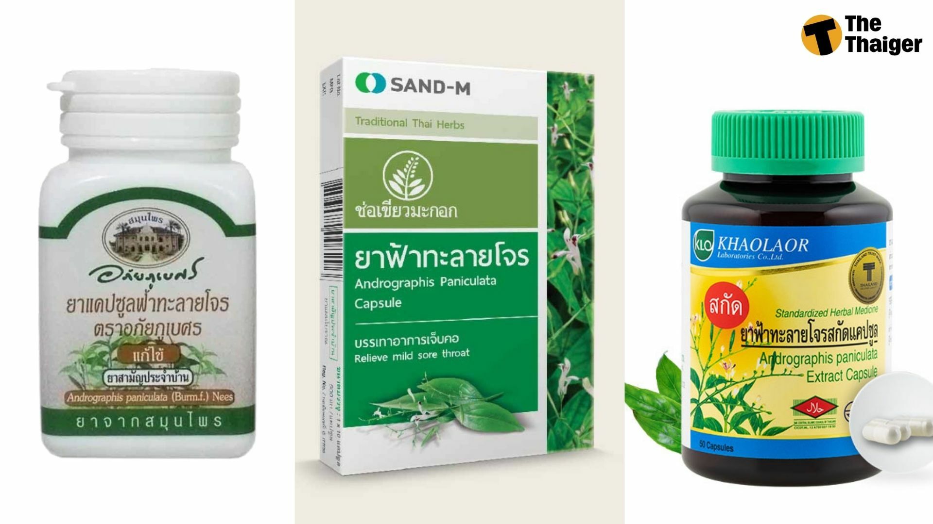 ฟ้าทะลายโจร ยี่ห้อไหนดี