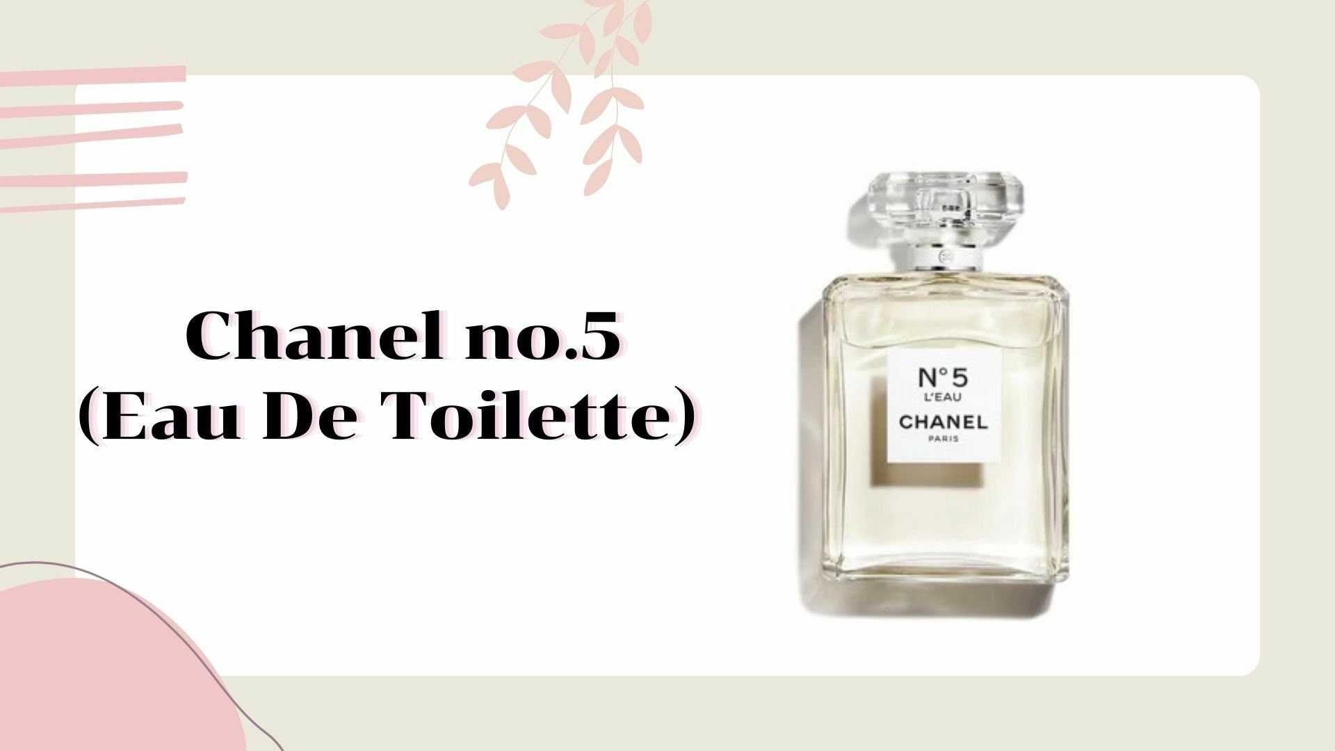 รีวิว Chanel no.5