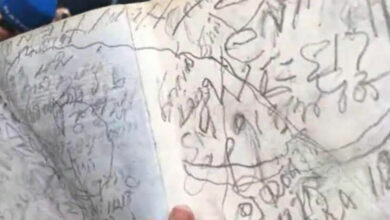 แม่ แตงโม ซีดี Metallica