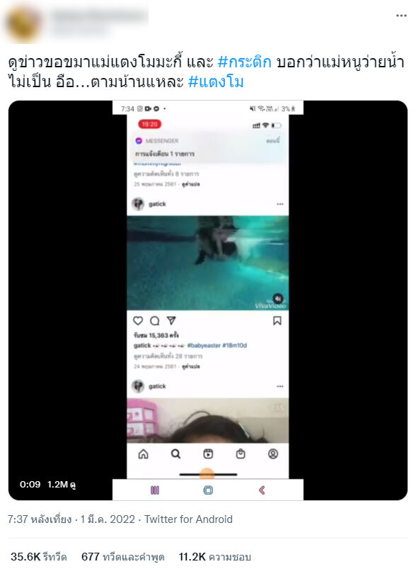 แตงโม กระติก