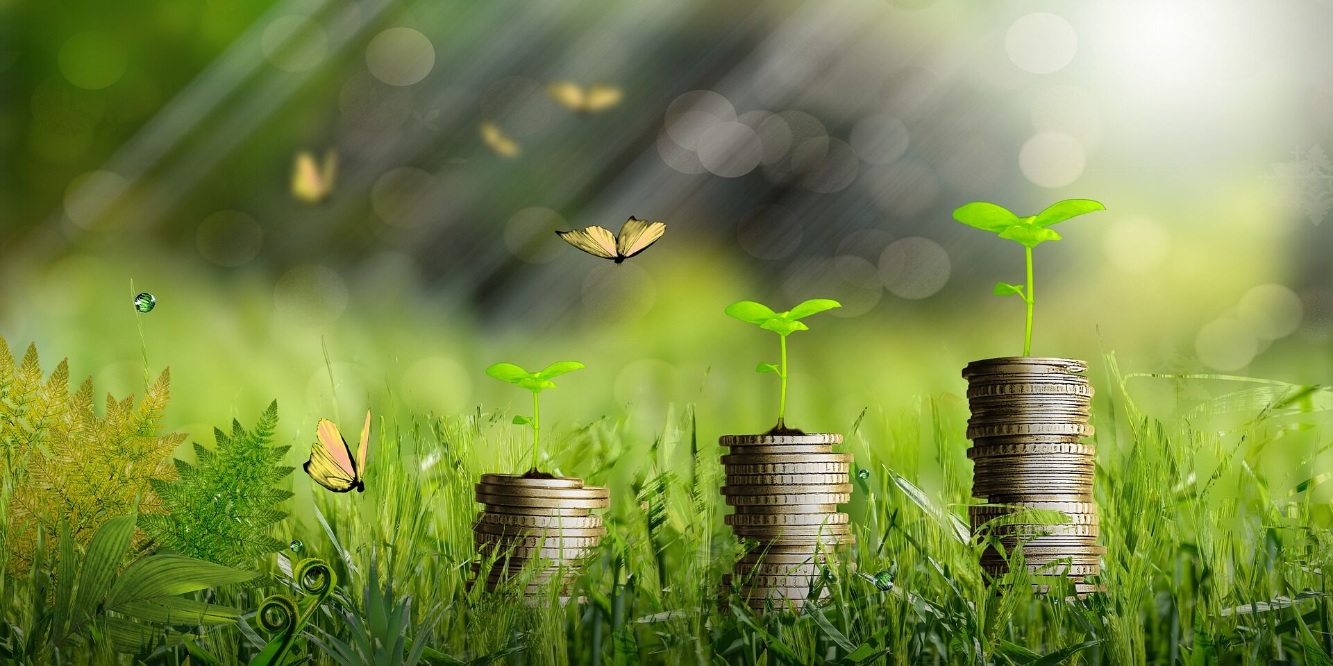 วงเงิน การกู้ยืม สินเชื่อ โครงการ SMEs Re-Start จาก SME D Bank