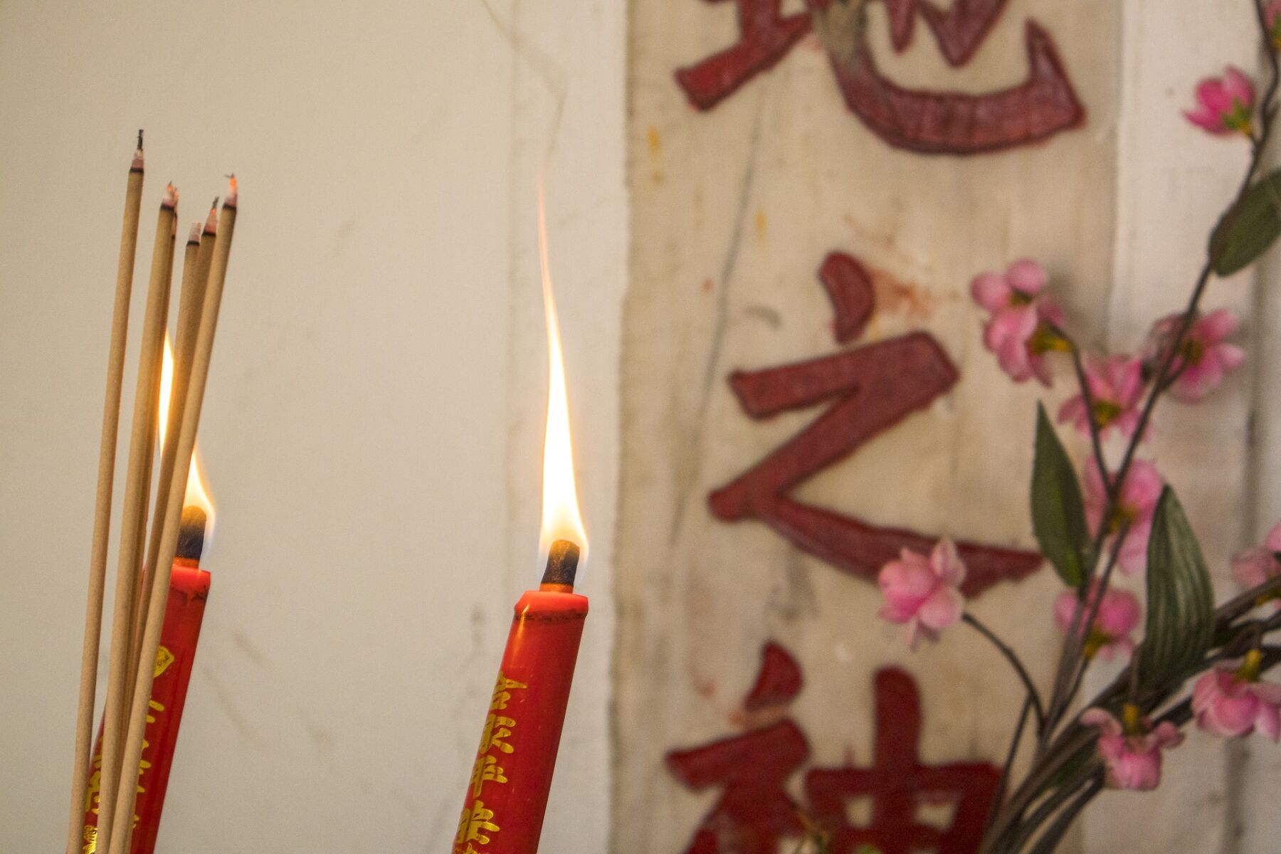 กิจกรรม วันเช็งเม้ง 5 เมษายน