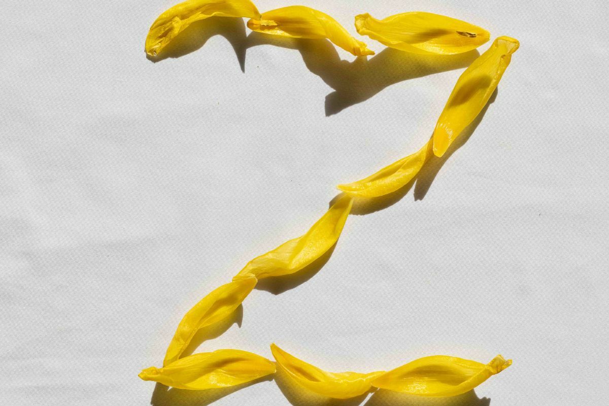 เครื่องหมาย z รัสเซีย