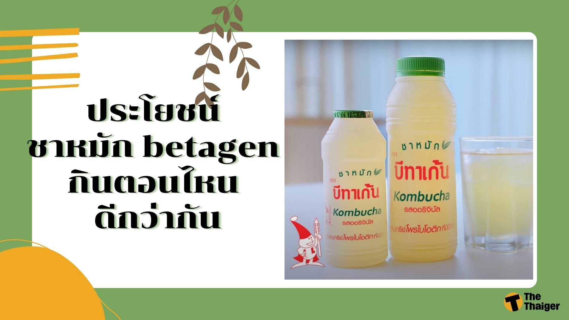 ชาหมัก กินตอนไหน