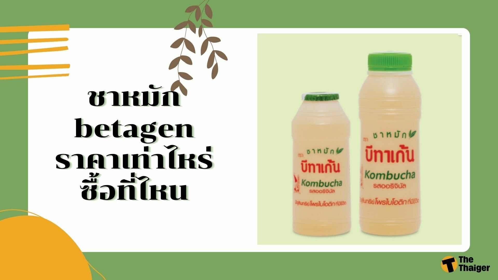 ราคา ชาหมัก betagen