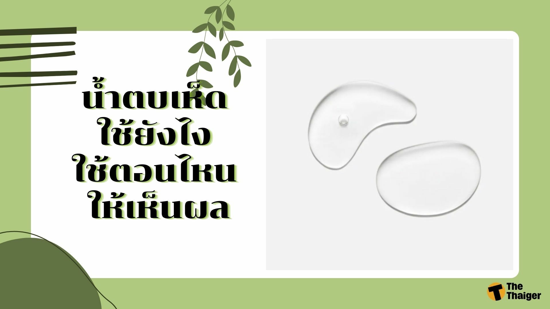 น้ำตบเห็ด ใช้ยังไง