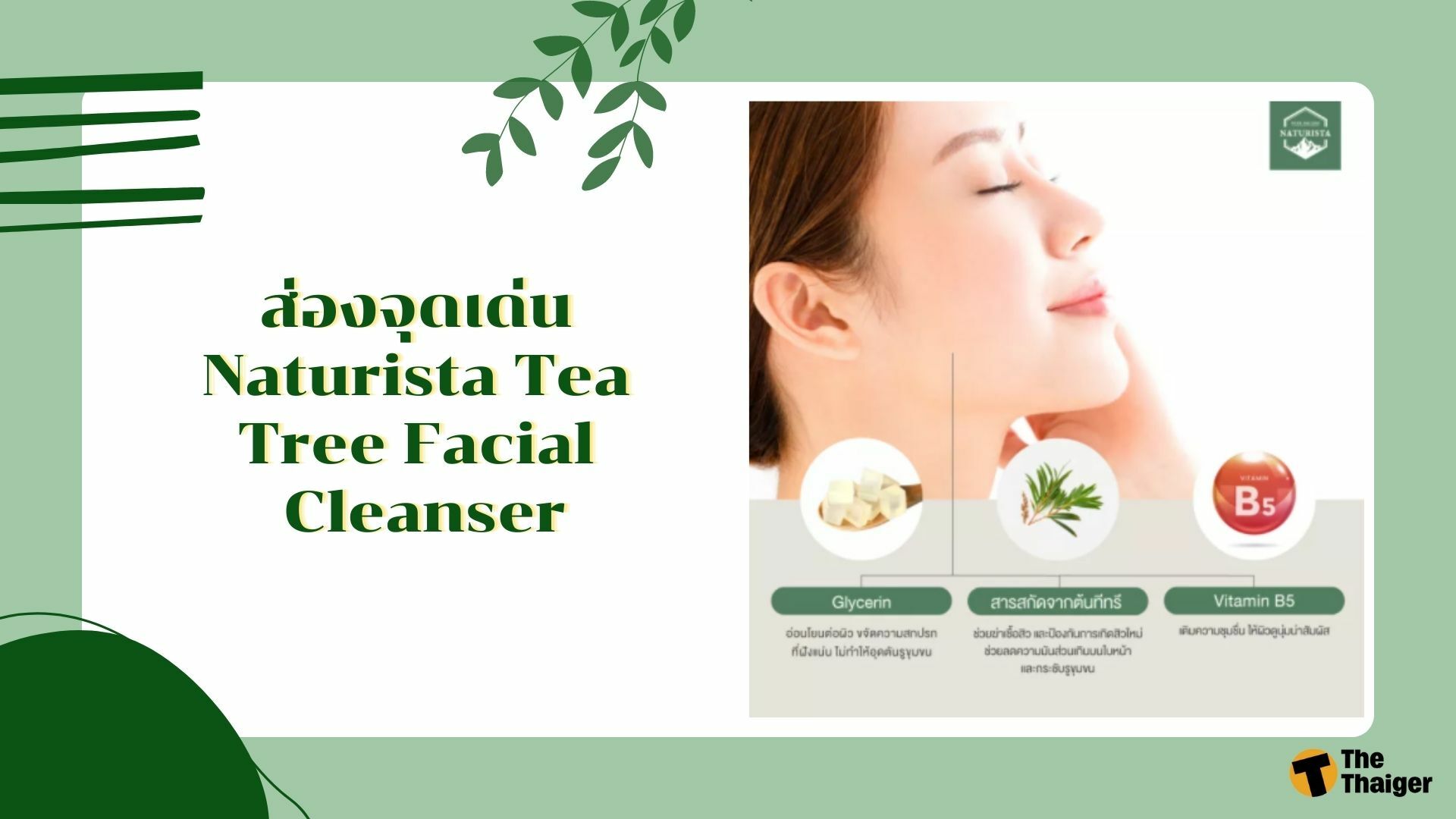 จุดเด่น Naturista Tea Tree