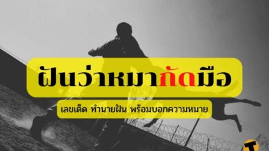 ฝันว่าหมากัดมือ