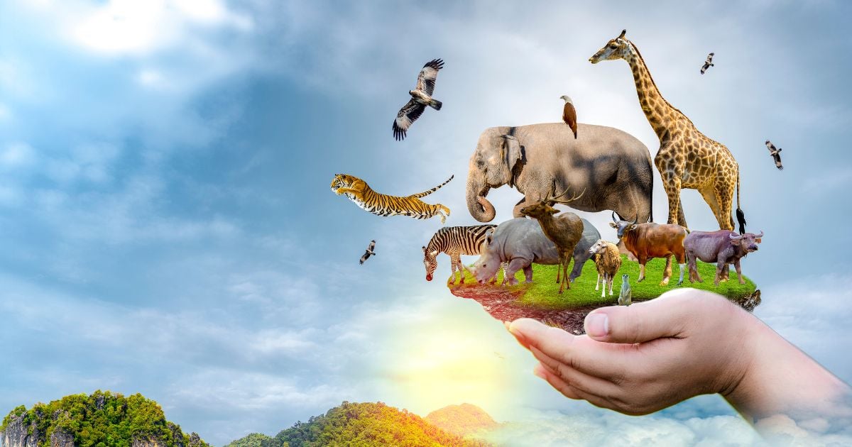 วันสัตว์ป่าและพืชป่าโลก2566