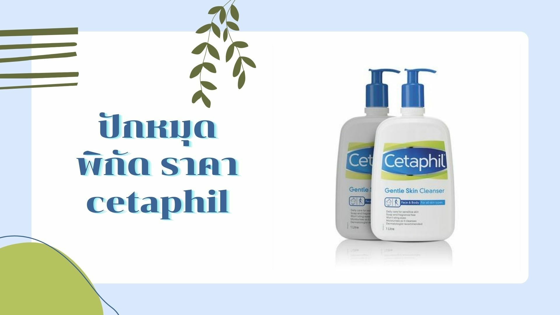 ราคา cetaphil