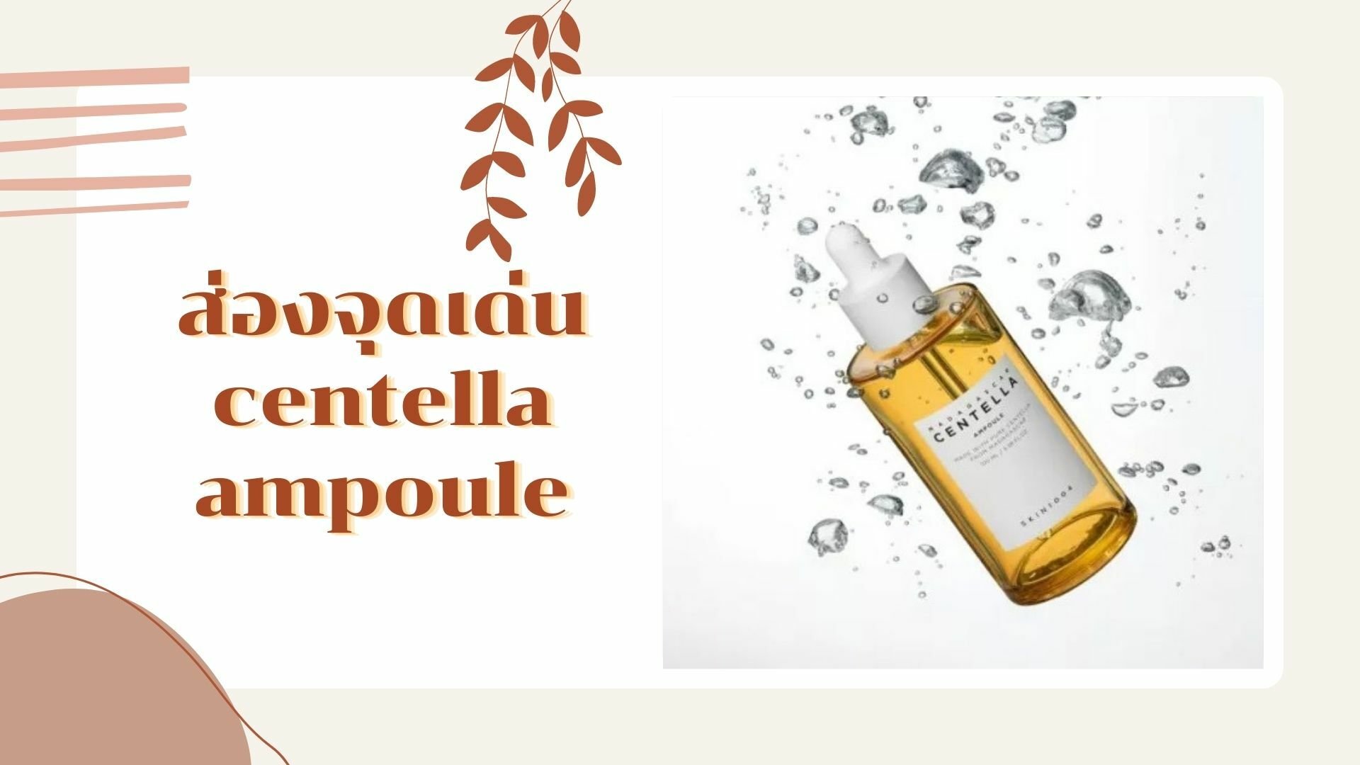จุดเด่น ampoule