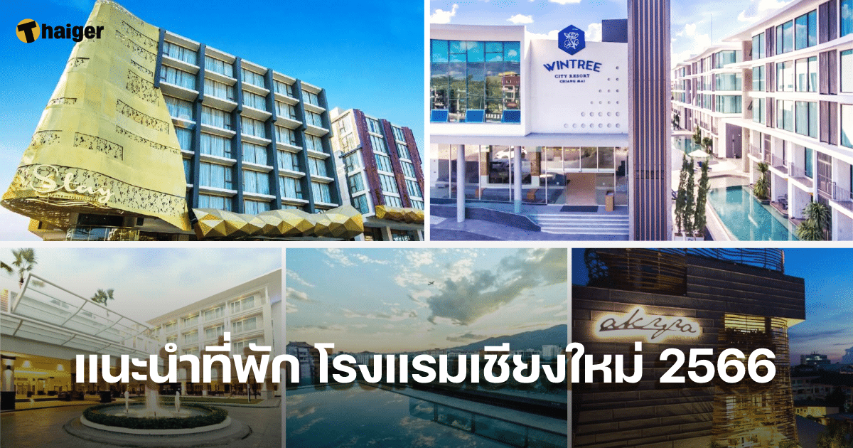 แนะนำที่พัก โรงแรมเชียงใหม่ 2566 ย่านนิมมาน ราคาถูก เดินทางสะดวก | Thaiger  ข่าวไทย