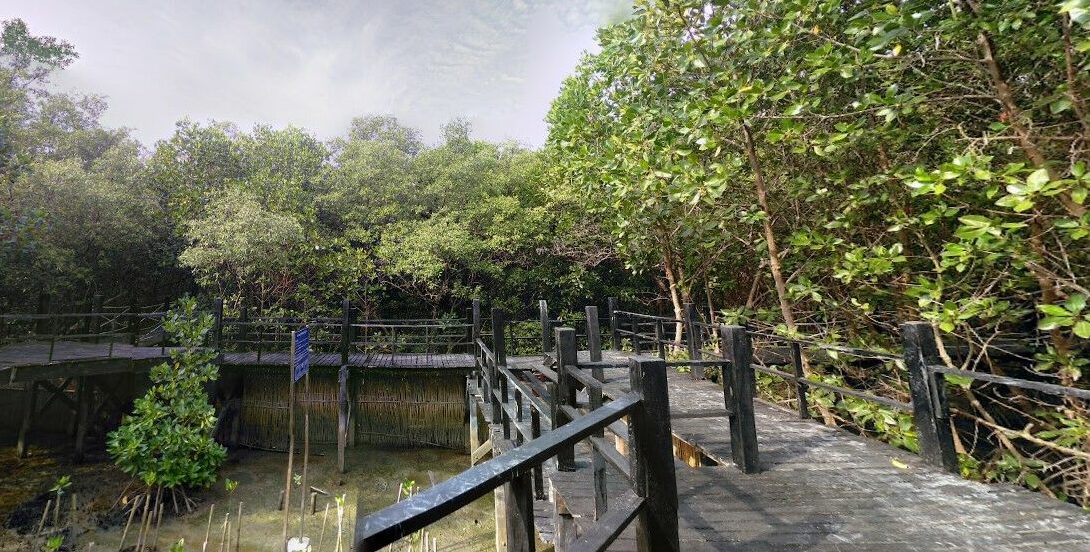 ที่เที่ยวบางแสน 2565 ติดทะเล เที่ยวใกล้กรุงเทพ ในวันหยุด ศูนย์ศึกษาธรรมชาติและอนุรักษ์ป่าชายเลน