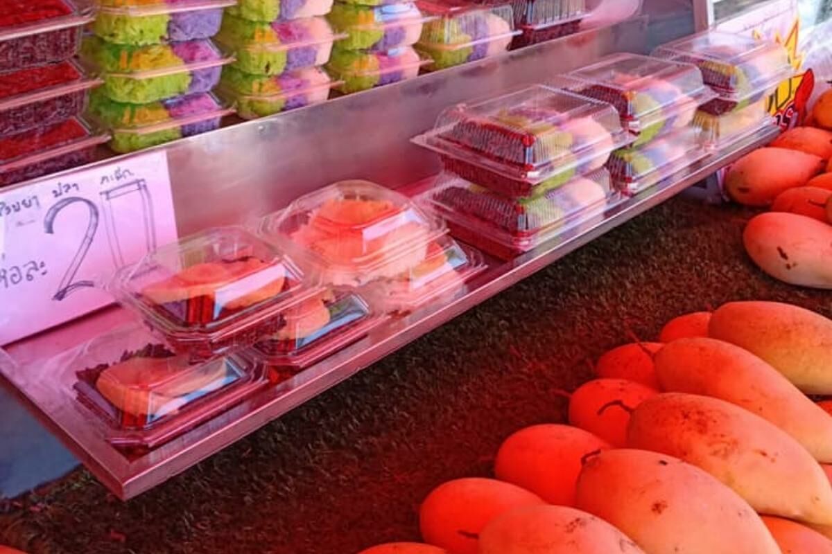 "ศ.ศศิมา