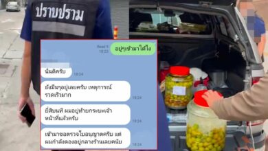 ดองเหล้าบ๊วย
