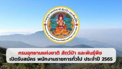 สมัครงาน กรมอุทยานแห่งชาติ สัตว์ป่า และพันธุ์พืช เปิดรับสมัคร พนักงานราชการทั่วไป 2565