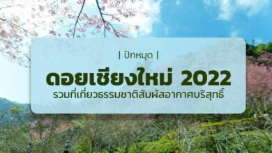 ดอย เที่ยวเชียงใหม่ 2022