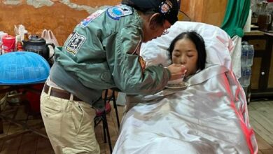 คุณหญิงแมงมุม กลับบ้านแล้ว