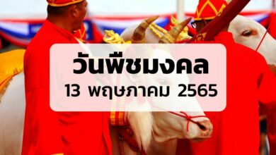 วันพืชมงคล 2565 หมายถึงอะไร ทำไมจึงสำคัญ เช็ก 'วันหยุด' เดือนพฤษภาคม