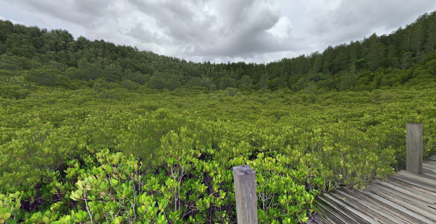 ที่เที่ยวระยอง 2022 ทุ่งโปรงทอง