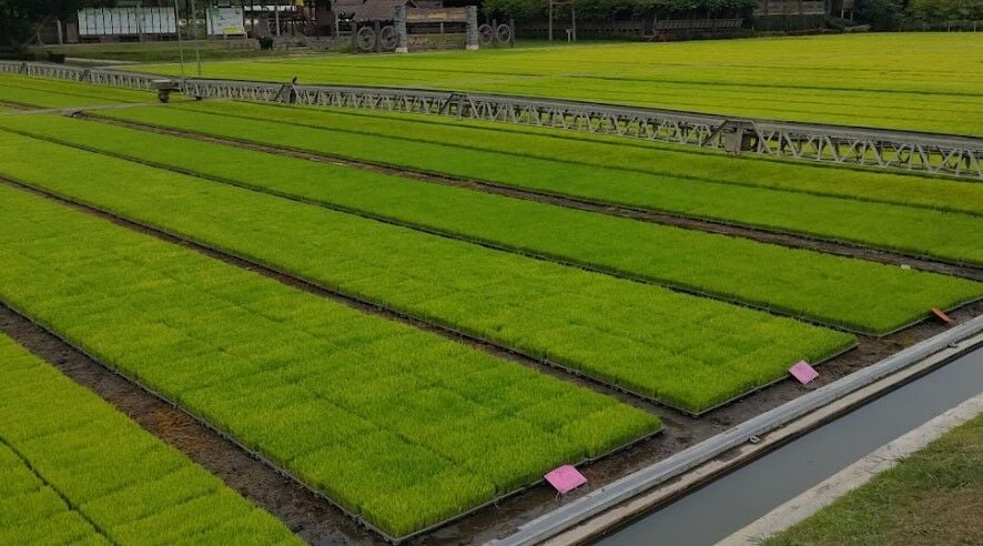 ที่เที่ยวสุพรรณบุรี 2565นาเฮียใช้