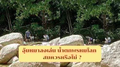 ดราม่า อุ้มหมาลงเล่น น้ำตกพรหมโลก สมควรหรือไม่ วิจารณ์สนั่นทั่วโซเชียล
