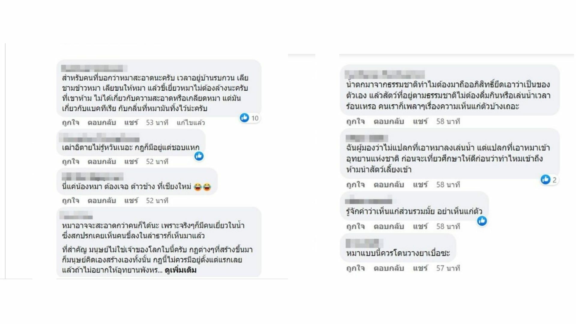ดราม่า อุ้มหมาลงเล่น น้ำตกพรหมโลก สมควรหรือไม่ วิจารณ์สนั่นทั่วโซเชียล