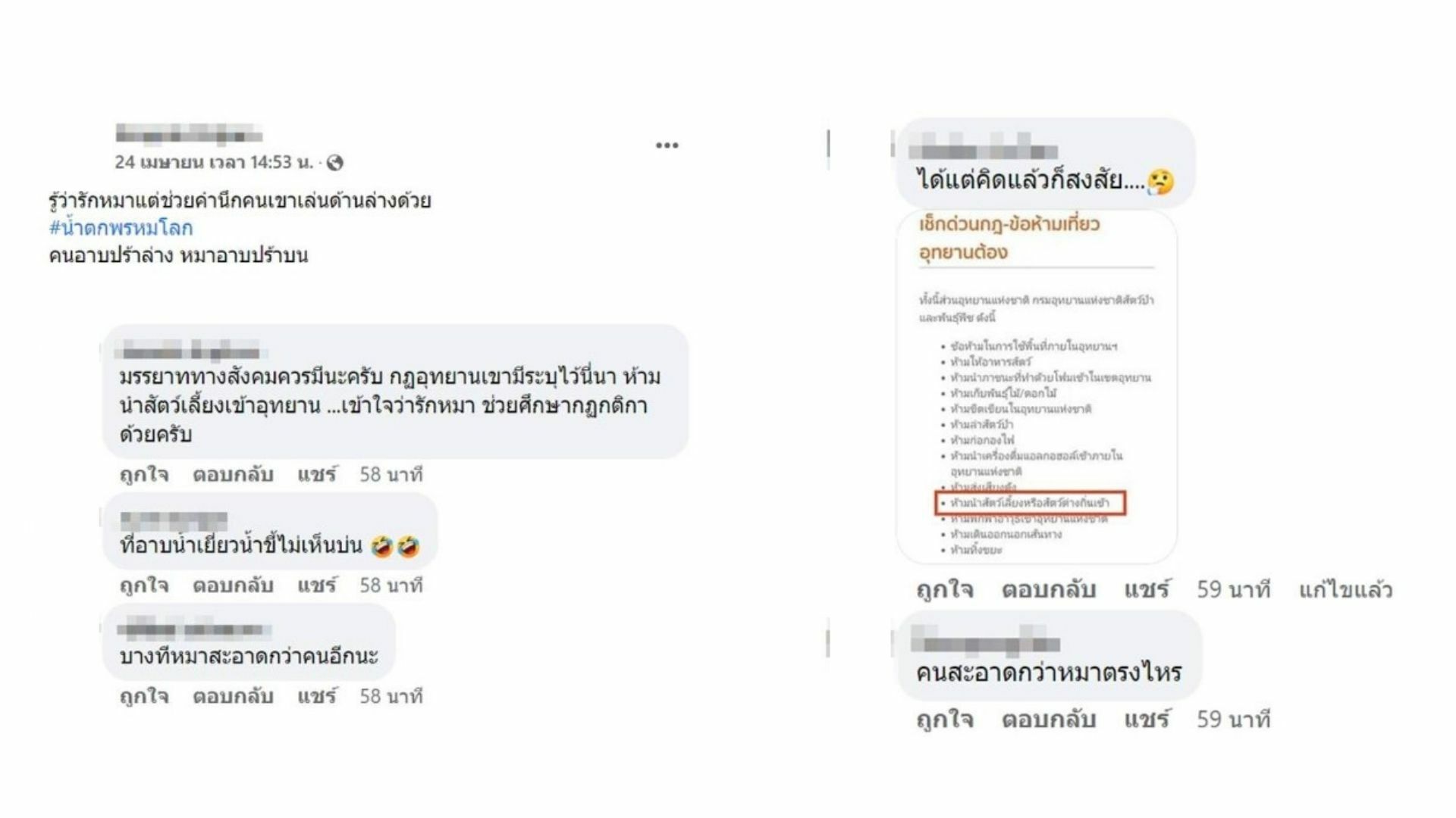 ดราม่า อุ้มหมาลงเล่น น้ำตกพรหมโลก สมควรหรือไม่ วิจารณ์สนั่นทั่วโซเชียล