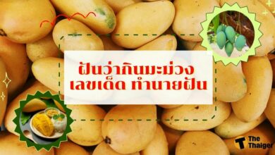 ฝันว่ากินมะม่วง เลขเด็ด ทำนายฝัน พร้อมบอกความหมาย