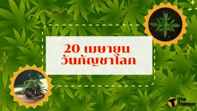 20 เมษายน วันกัญชาโลก ทำความรู้จัก สัญลักษณ์ 420 ที่หลายคนยังไม่เคยรู้