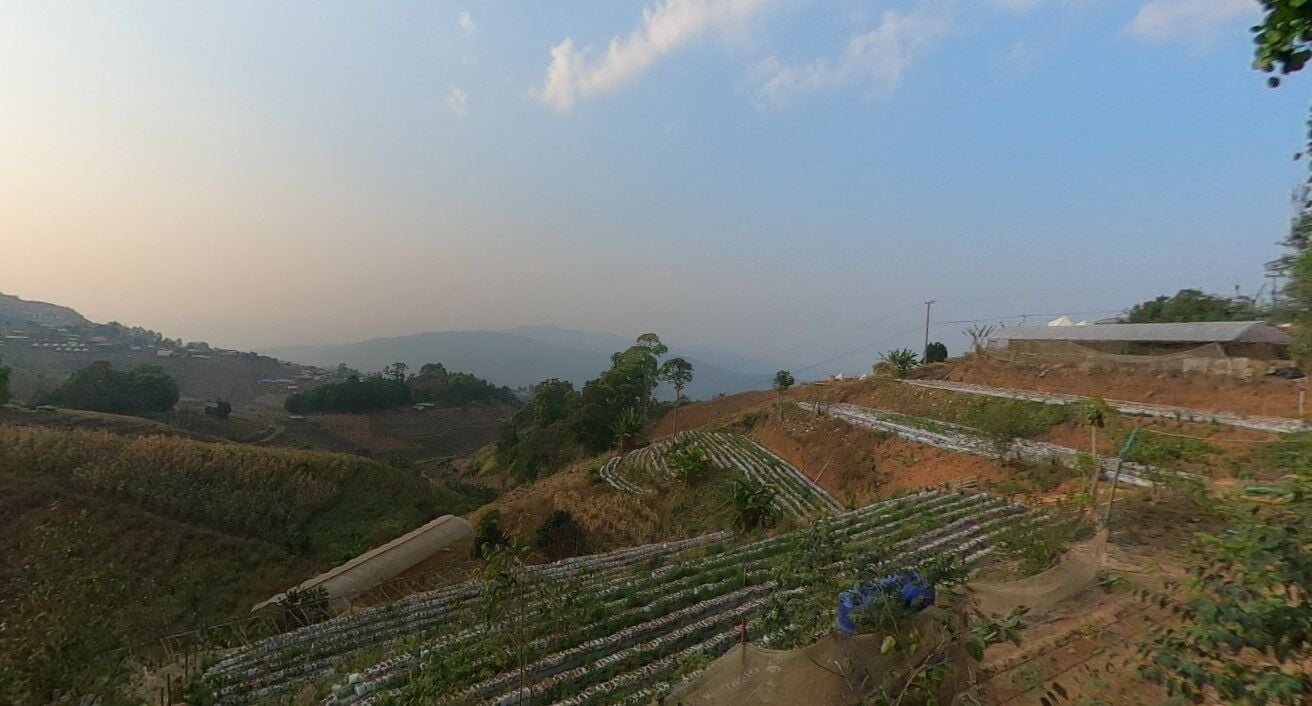 ดอย เที่ยวเชียงใหม่ 2022 ม่อนอิงดาว
