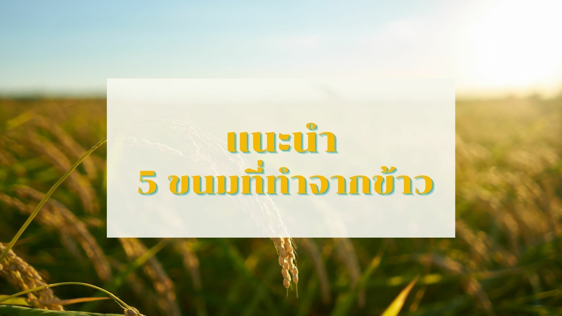 แนะนำ 5 ขนมที่ทำจากข้าว พร้อม วิธีการทำ ขนมไทย ง่าย ๆ ทำตามได้ที่บ้าน