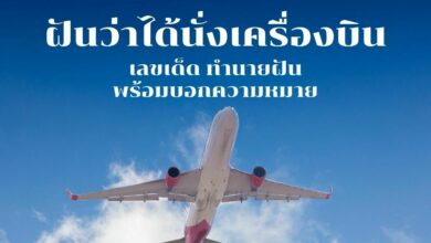 ฝันว่าได้นั่งเครื่องบิน
