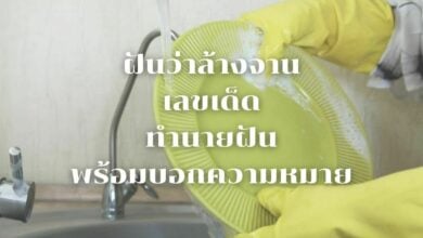 ฝันว่าล้างจาน เลขเด็ด