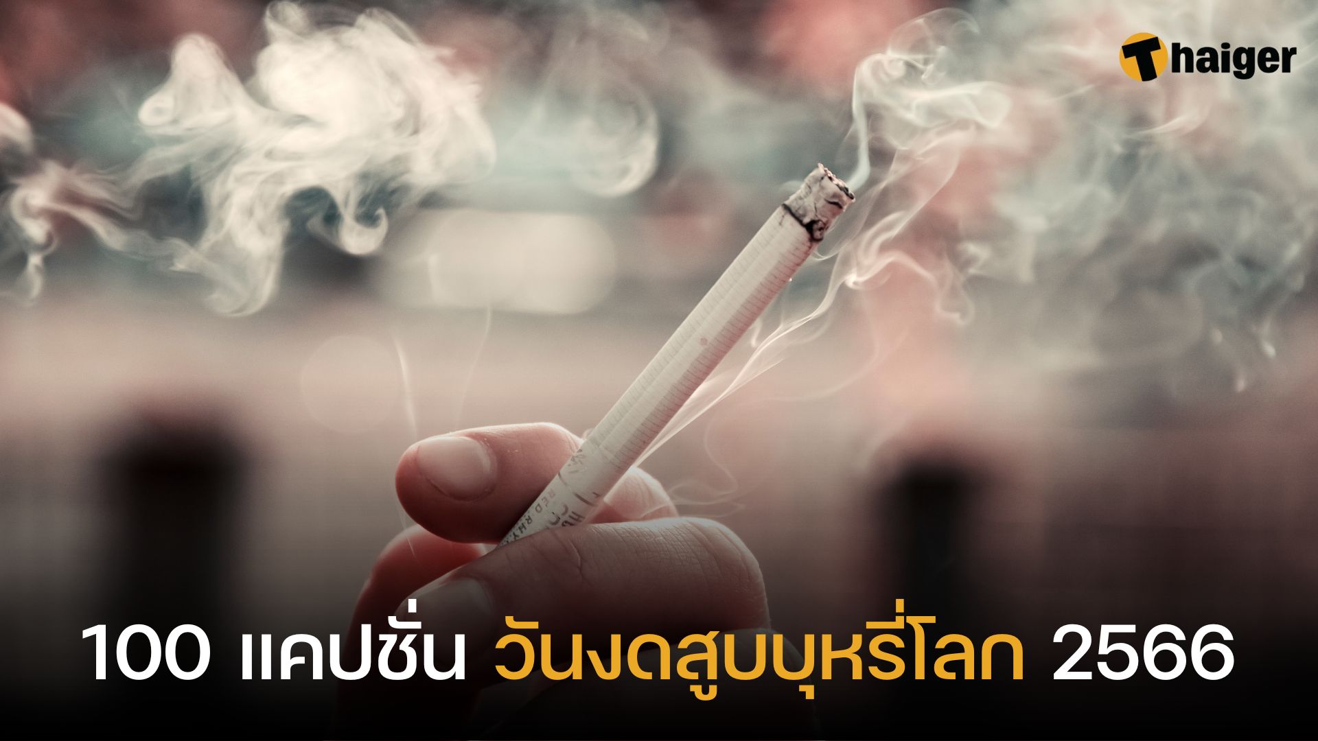 100 แคปชั่นวันงดสูบบุหรี่ 2566 คำคมโดน ๆ มีมาให้เลือกเพียบ | Thaiger ข่าวไทย