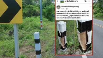 เสาหลักยางพารา