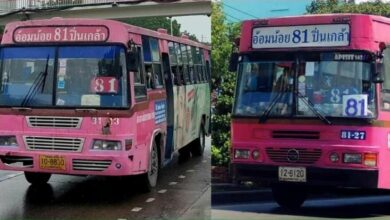 รถเมล์สาย 81 เลิกวิ่ง