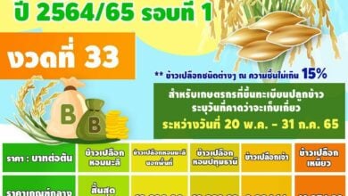 เงินส่วนต่างข้าวปี64/65