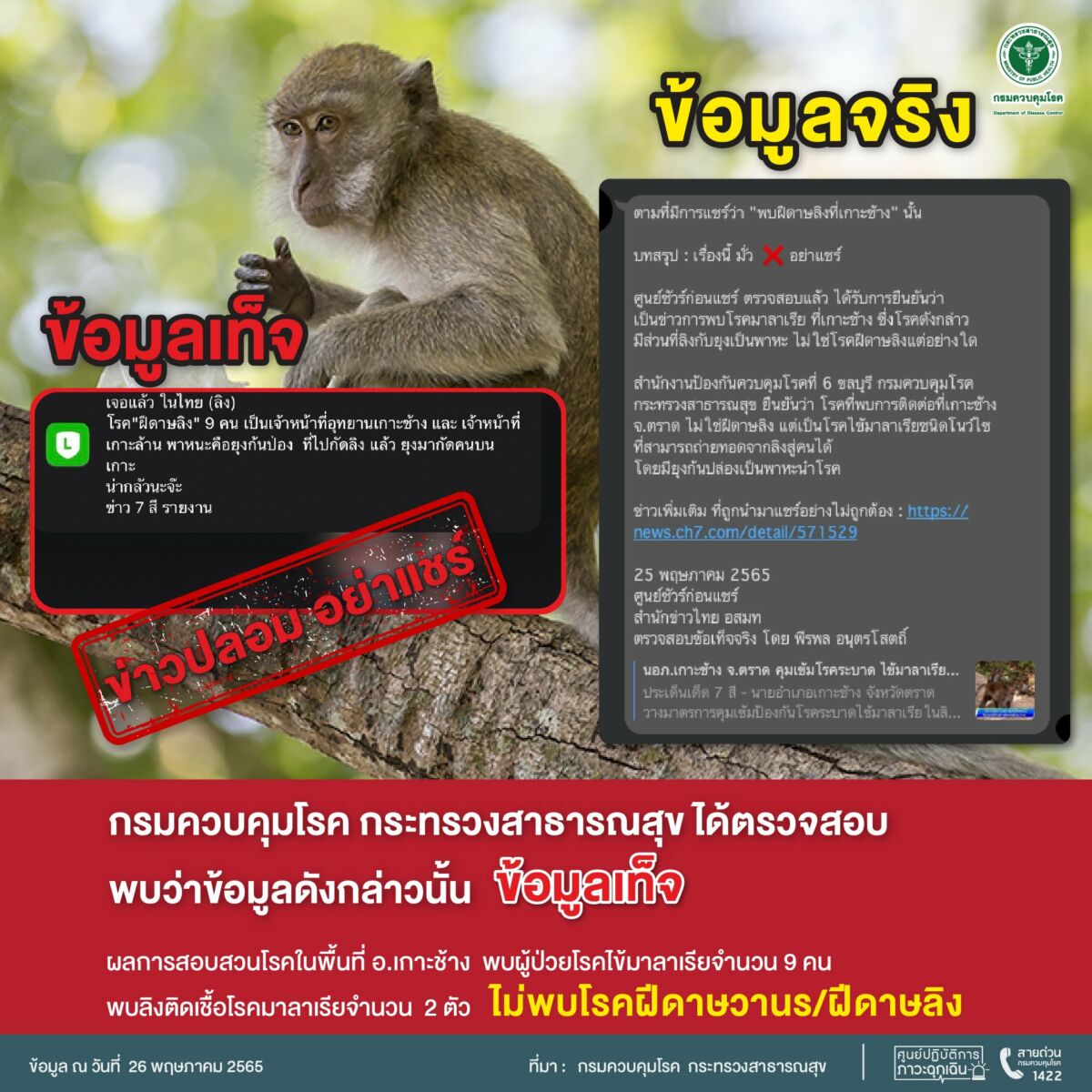 พบฝีดาษลิงในไทย