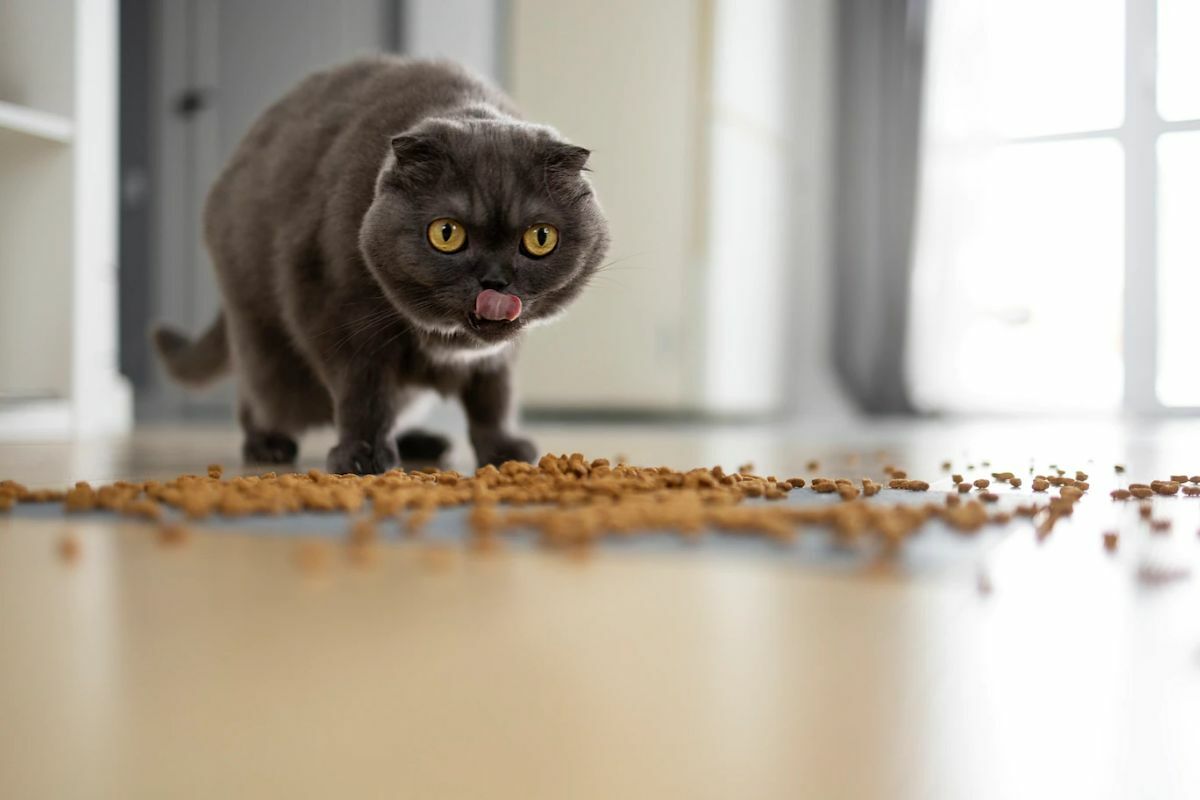 แคปชั่นเกินปุยมุ้ย