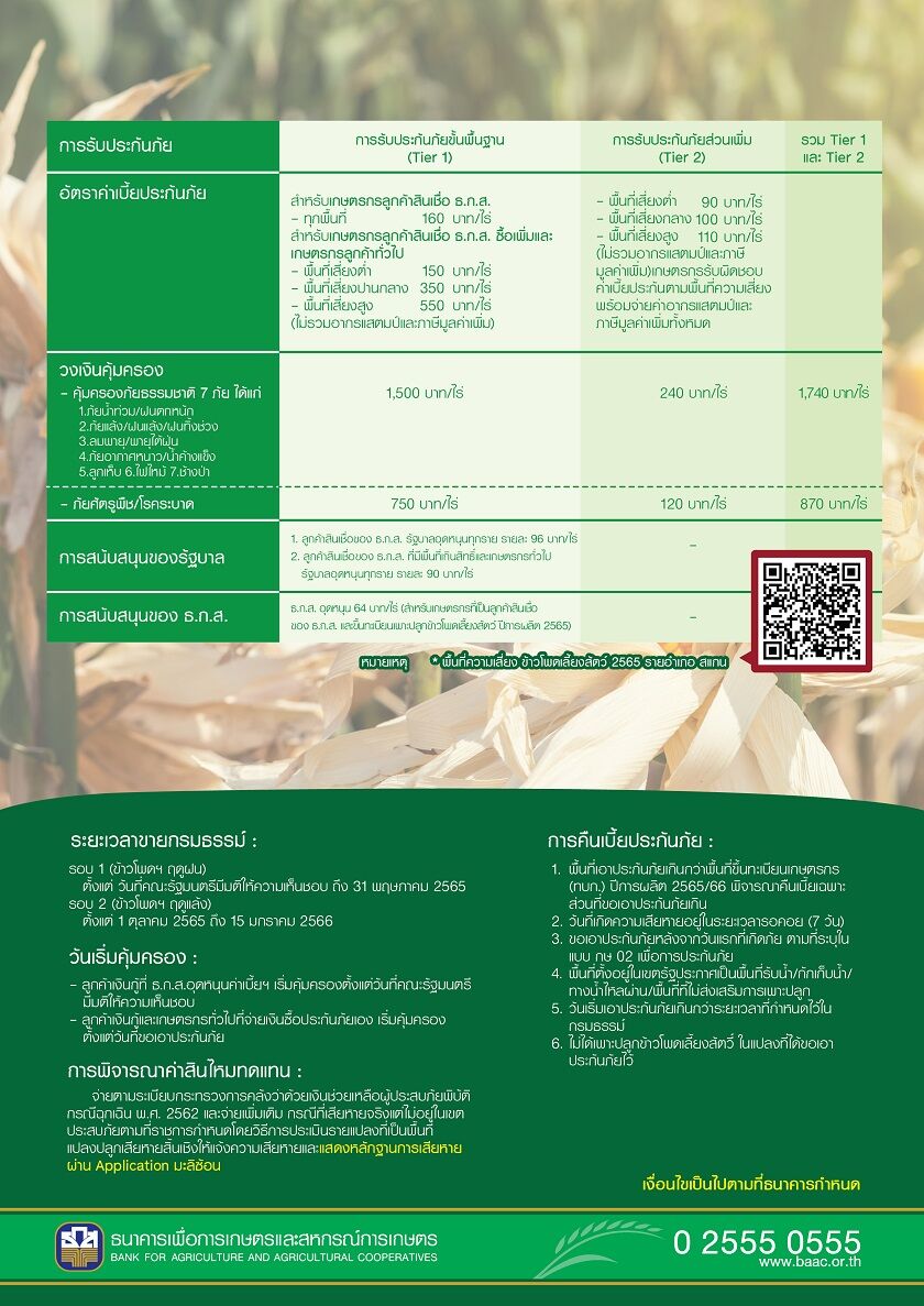 ธ.ก.ส. ประกันภัยข้าวโพดเลี้ยงสัตว์ 2565