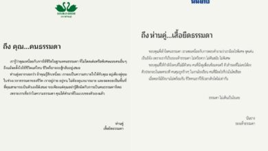 ถึงคนธรรมดา ห่านคู่ นันยาง