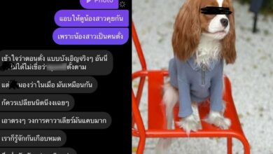 ดราม่าหมาชื่อซ้ำ