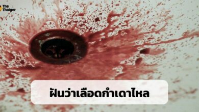 ฝันว่าเลือดกำเดาไหล เลขเด็ด รวมเลขเด็ด หวย ทำนายฝัน โชคลาภ พร้อมบอกความหมาย