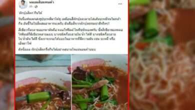 ผักบุ้งสีตก หมอแล็บ