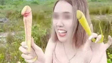 ต้นไม้จู๋