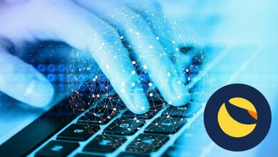 ด่วน ! สื่อเกาหลีรายงาน Terra ในสิงคโปร์ ไม่มีอยู่จริง เป็นเพียงแค่ Paper Company