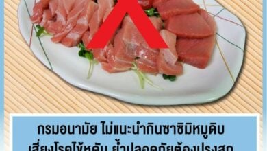 ซาซิมิหมูดิบ