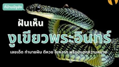 ฝันเห็นงูเขียวพระอินทร์