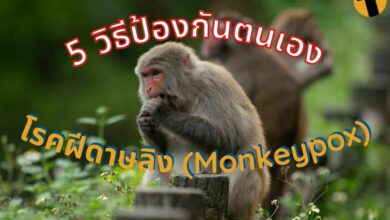 วิธีป้องกัน โรคฝีดาษลิง